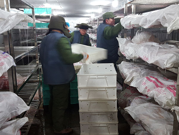 羊肉解凍機